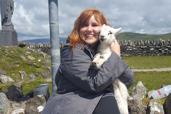 10 Day Wild Irish Experience Small Group Tour From Dublin - Day 6 The Dingle Peninsula: Slea Head, Blasket Centre, and options around town