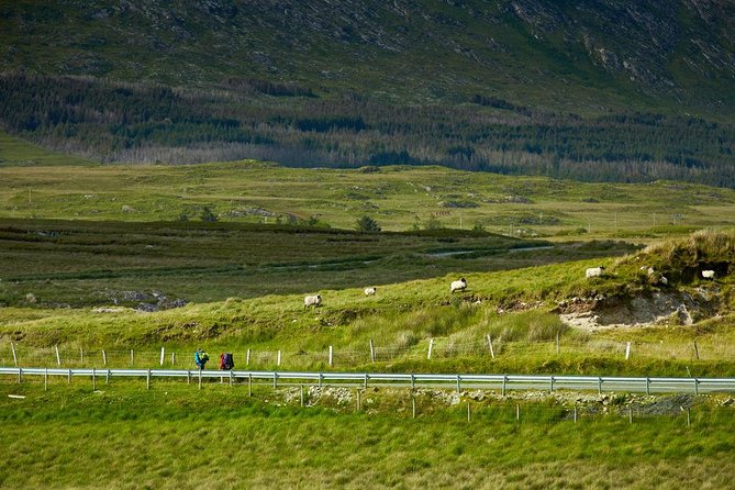 2-Day Western Ireland Tour from Dublin:Including Galway and Cliffs of Moher - Bunratty Castle Area: Photo Stop Only, So Plan Your Priorities