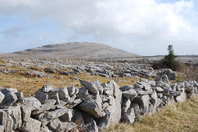 2-Day Wild Atlantic Way Tour From Dublin - The Bus Change and Overnight on the Dingle Peninsula: Plan for “Basic, With Charm”