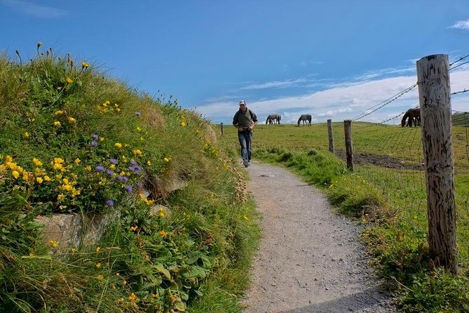 2-Day Wild Atlantic Way Tour From Dublin - Who This Tour Suits Best