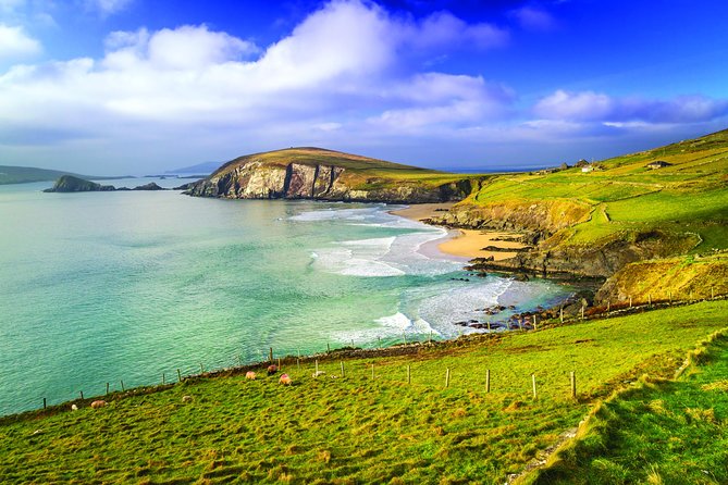 3-Day Dingle, Killarney and the Wild Atlantic Way Small-Group Tour from Dublin - Killarney lunch time and why the town stop is practical