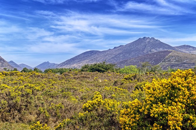 3-Day Discover Northern Ireland Small-Group Tour from Dublin - Price and Value: Is $847.84 Fair for This 3-Day Setup?
