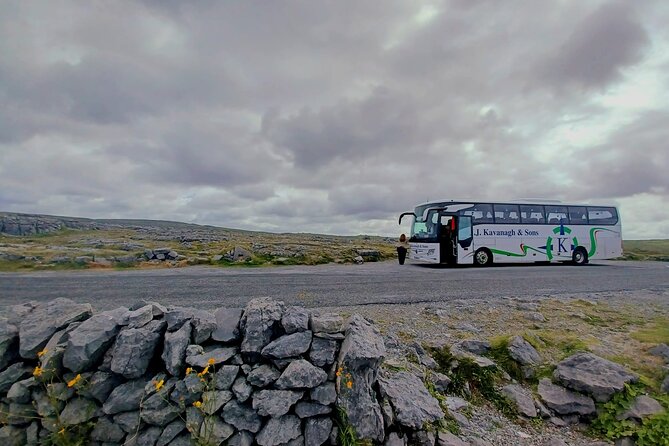 4-Day Guided Tour to Discover Ireland and Dublin - Day 4 Northern Ireland Highlights: Giant’s Causeway, Dunluce, Dark Hedges, and Titanic Belfast