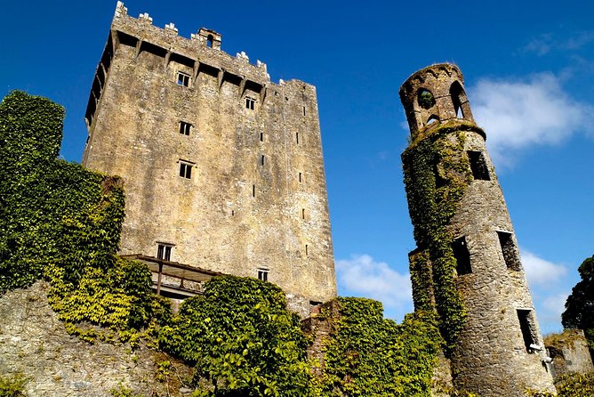 4-Day South West Ireland Tour from Dublin - Day 4: Killarney National Park, Blarney Castle, Golden Vale, and the Rock of Dunamase