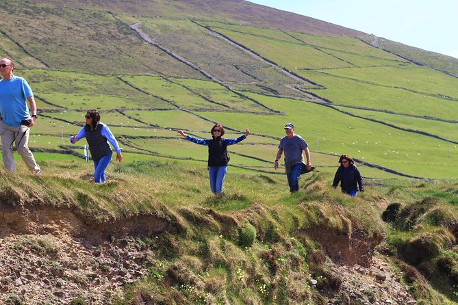 6-Day Magical Southern Explorer Small Group Tour - Day 2: Cahir Castle, Blarney Castle Gardens, and Killarney at Night