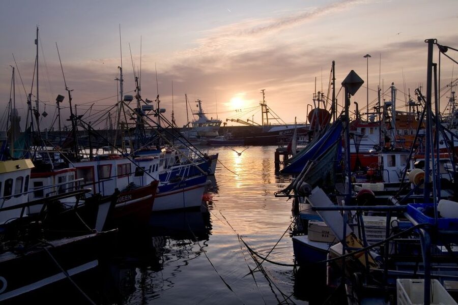 6-Day Tour of Southern Ireland from Dublin - Ring of Kerry: why this coastal drive is worth the bus time