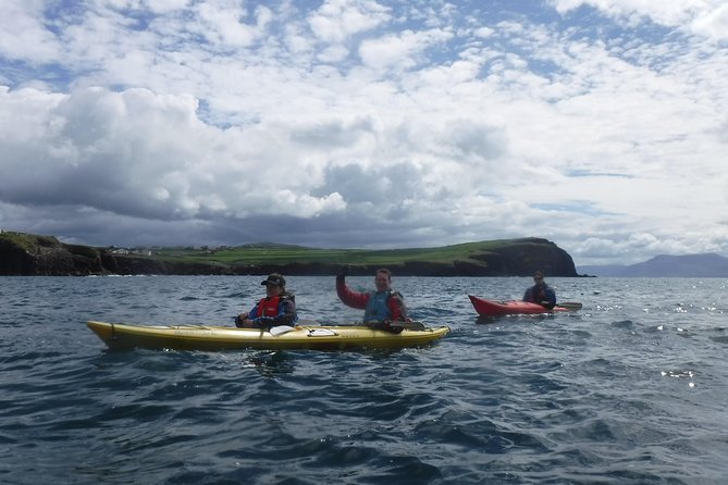 7-Day Great Atlantic Adventure Small-Group Tour of Ireland from Dublin - Day 4 Sheepdog Demonstrations, Ferry to Clare, and Cliffs of Moher on Foot