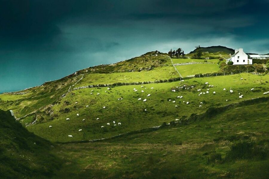 Best of Ireland 6-Day Backpackers Economy Tour - Getting Around: Coaches, Group Size, and How the Day Actually Feels