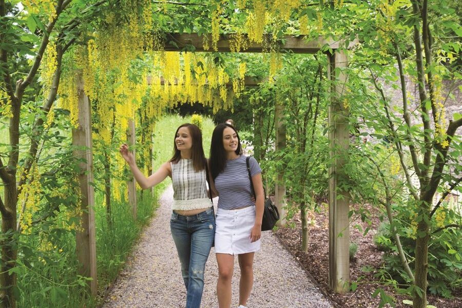 Blarney Castle Full-Day Tour from Dublin - A Full-Day Cork and Blarney Hit From Dublin