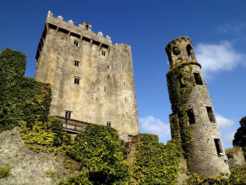 Blarney Castle Full-Day Tour from Dublin - Cork City Stop by the River Lee and English Market Choices
