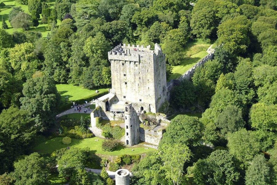 Blarney Castle Full-Day Tour from Dublin - Blarney Castle Grounds and Gardens: More Than One Photo