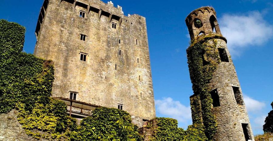 Blarney Castle Full-Day Tour from Dublin - Celtic Crosses and the Round Tower Moment