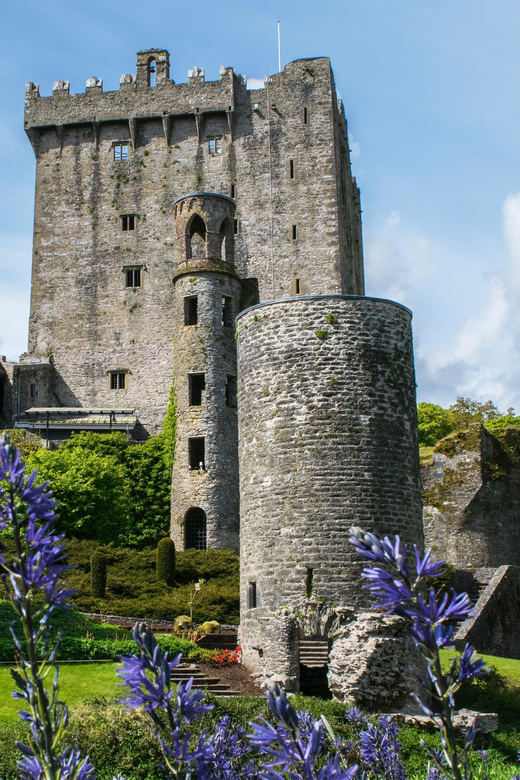 Blarney Castle: Private Guided Day Tour from Dublin - Rock of Cashel: A 5th-Century Landmark With a View Worth the Wait