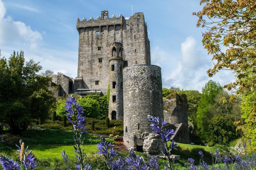 Blarney Castle: Private Guided Day Tour from Dublin - Value and Price: What You Get for $1,243 Up to 6 People