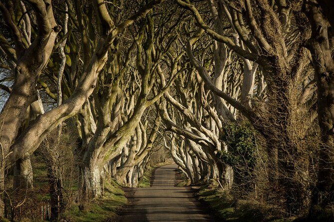 Chauffeur Giants Causeway & Belfast Private Day Tour From Dublin - Price and value: private for up to 3, and what you really pay for