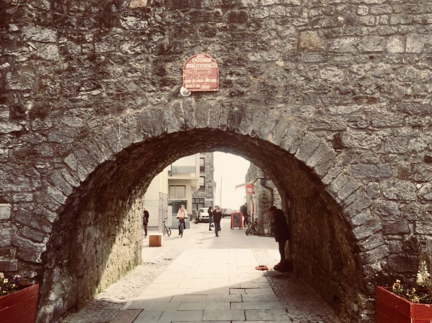 Cliffs of Moher and Galway Tour in Italian or Spanish - The Burren in 20 minutes: how to read the stony terrain