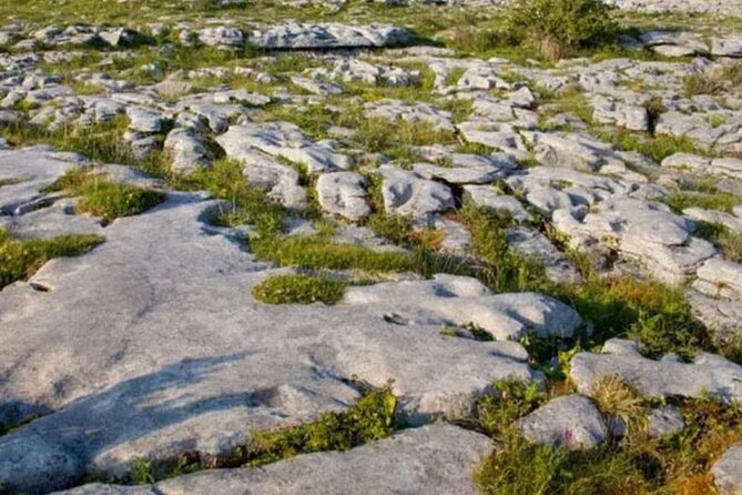 Cliffs of Moher, Burren and Galway 2 Days Private Chauffeur Tour - Doolin Harbour and Burren National Park: how the extra coastal and park time fits in