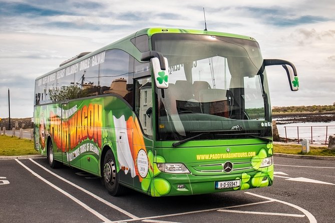 Cliffs of Moher Day Tour from Dublin: Including The Wild Atlantic Way - Coach comfort, timing, and how to keep the day from feeling rushed