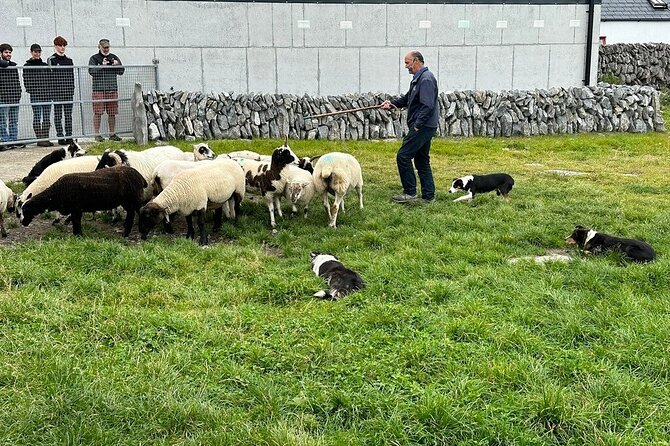 Cliffs of Moher from Dublin Full Day - Private Driver - Cliffs of Moher Visitor Centre: Paved Walks and Atlantic Views