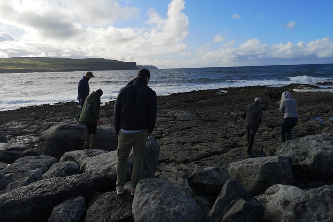 Cliffs of Moher & Galway Bay private tour or Galway city day trip - Ballyvaughan donkeys: the quick stop that makes the day feel personal