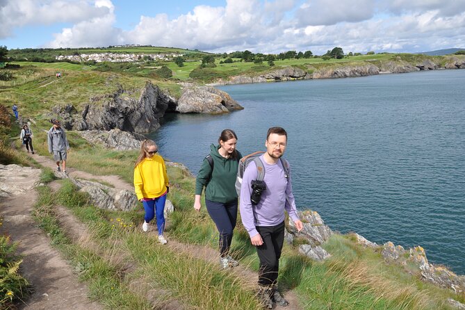 Day Tour from Dublin to Wicklow: Cliffs, Heritage, Wildlife, Gaol - Wicklow Town Stroll: Viking Settlement Stories, St Patrick’s Landing, and Norman Black Castle