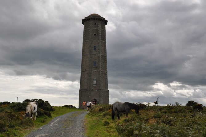 Day Tour from Dublin to Wicklow: Cliffs, Heritage, Wildlife, Gaol - Wicklow Gaol: The Admission-Optional Piece of the Day