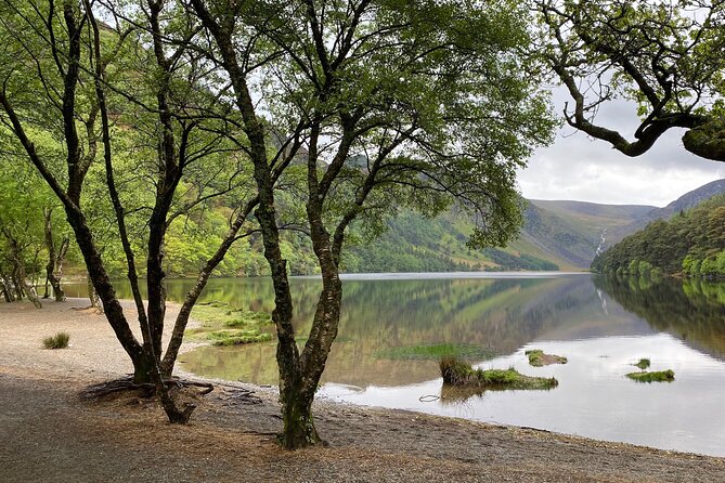 Day Tour from Dublin: Wicklow Mountains, Glendalough, Powerscourt - Getting From Dublin: Pickup, Private Driving, and Comfort