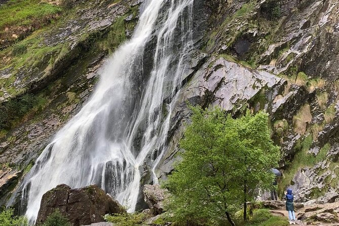 Day Tour from Dublin: Wicklow Mountains, Glendalough, Powerscourt - Powerscourt Waterfall: 121 Meters, Loud in the Best Way