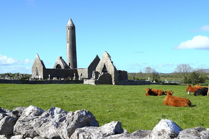 Day trip to Cliffs of Moher & Bunratty Castle and Ennis - Practical tips that make a 12-hour day actually enjoyable