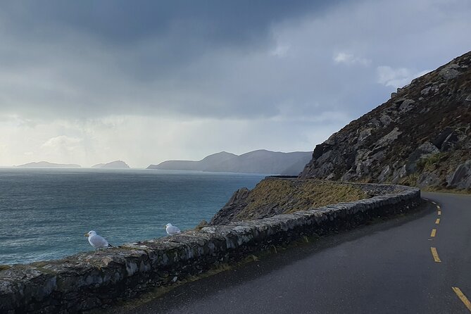 Dublin Airport to Galway ,Private Chauffeur Service - Price and value: $588.75 per group up to 4, and when it pays off