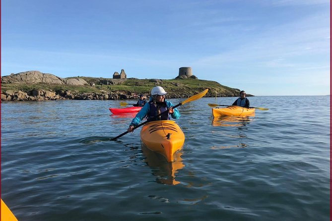 Dublin Bay Seal Kayaking Safari at Dalkey - Key Things That Make This Safari Worth It