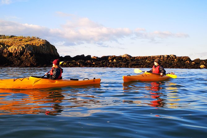 Dublin Bay Seal Kayaking Safari at Dalkey - Dalkey Island Stop: Short Land Time and Big Views When Weather Allows
