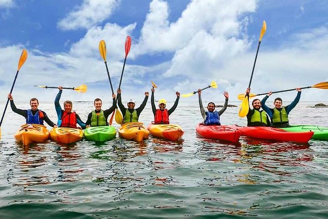 Dublin Bay Seal Kayaking Safari at Dalkey - Guides Matter: Names You’ll Hear and the Style You Should Expect