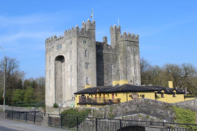 Dublin City Private Award Winning Luxury Car Tour - Irish Rock N Roll Museum: music lovers, musicians, and curious folks