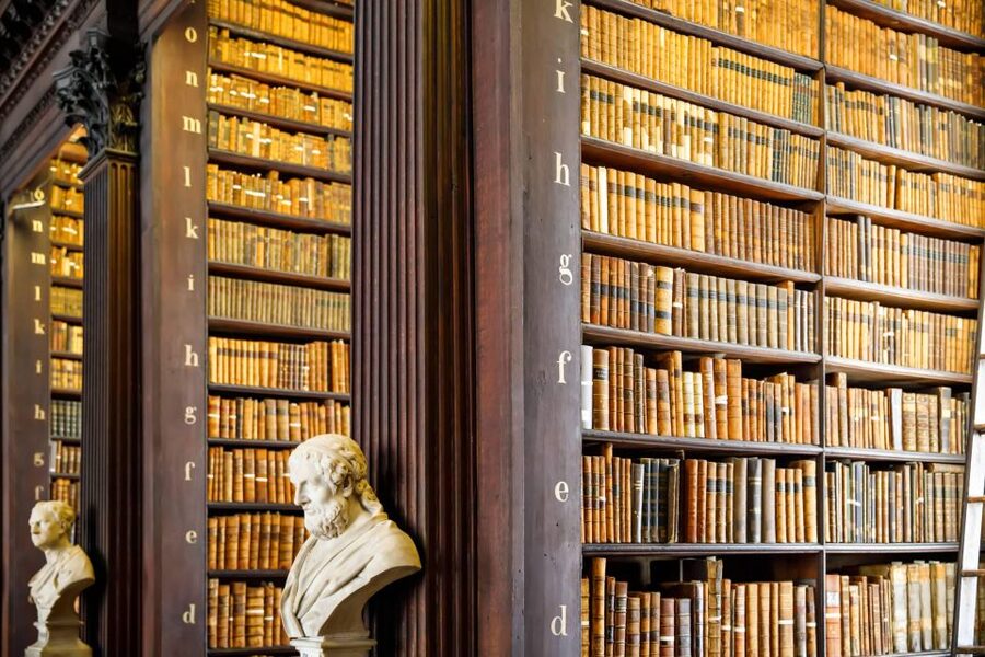 Dublin City Walking Tour, Vikings, St. Partick, Highlights - Price and value: what $167 buys you, and how to decide if it’s worth it