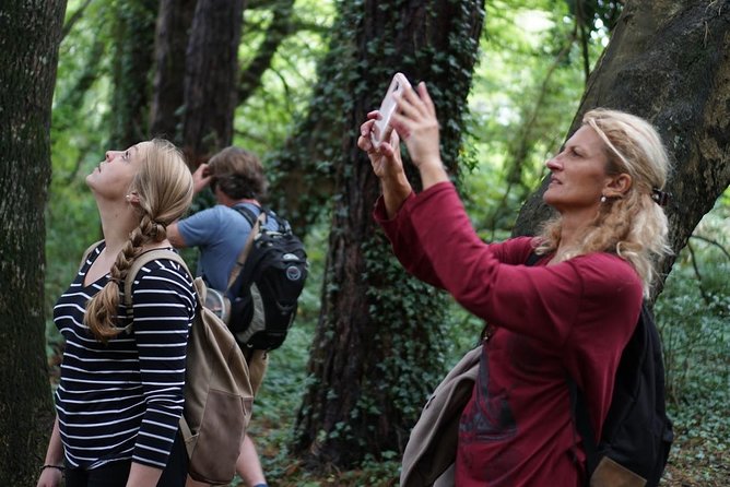 Dublin Coastal Hike with Howth Adventures - How the Howth Coast Works as a Dublin Day Trip