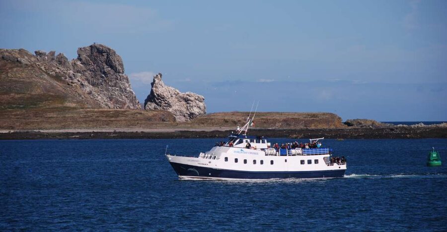 Dublin: Dublin Bay Cruise from Howth to Dun Laoghaire - Key highlights worth your time