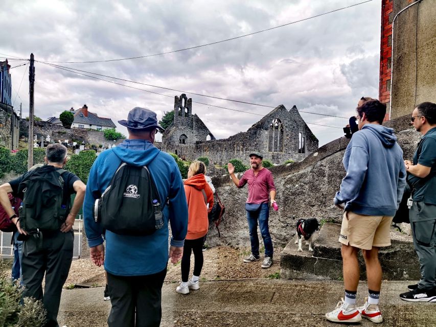 Dublin: Dublin Coastal Hike and Pints & Puppies - The physical side: what is easy, what is not, and what to wear