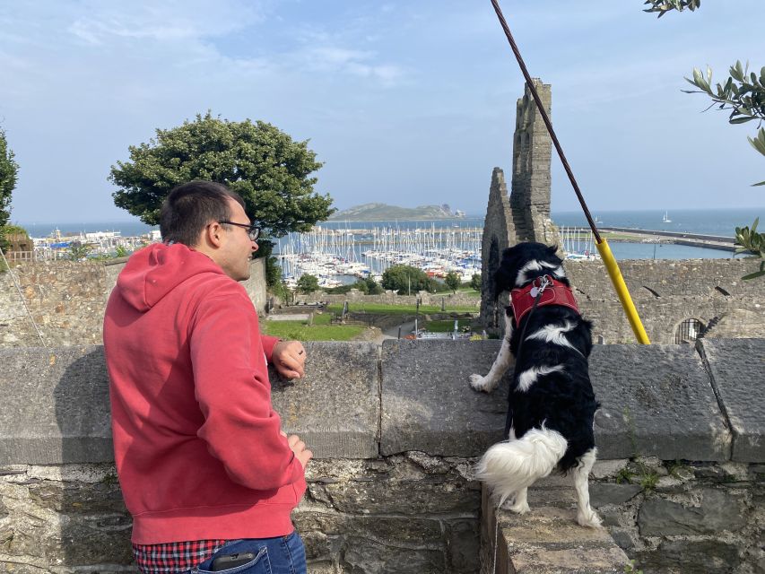 Dublin: Dublin Coastal Hike and Pints & Puppies - 700-year-old castle and the stories of Viking and Norman invasions