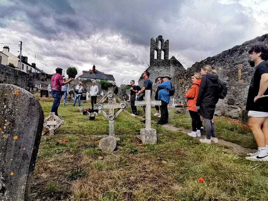 Dublin: Dublin Coastal Hike and Pints & Puppies - Hidden Howth natural beauty: where the route feels less touristy