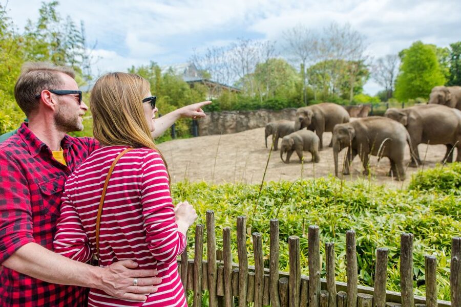 Dublin Explorer Pass: Save up to 50% on 3 to 7 Attractions - Transportation and Food: What the Pass Covers, and What It Does Not