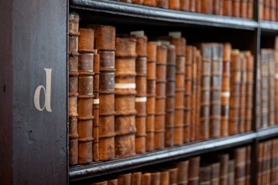 Dublin: Fast-Track Book of Kells Ticket & Dublin Castle Tour - The Long Room highlight, and what to expect if access is limited