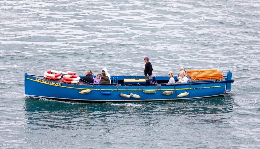 Dublin: Ferry from Howth to Ireland's Eye island - Birdwatching Payoff: Puffins, Cormorants, and the Island’s Quiet Rhythm