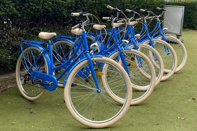Dublin Full Day Bike Rental - Phoenix Park by bike is the smart way to beat Dublin time