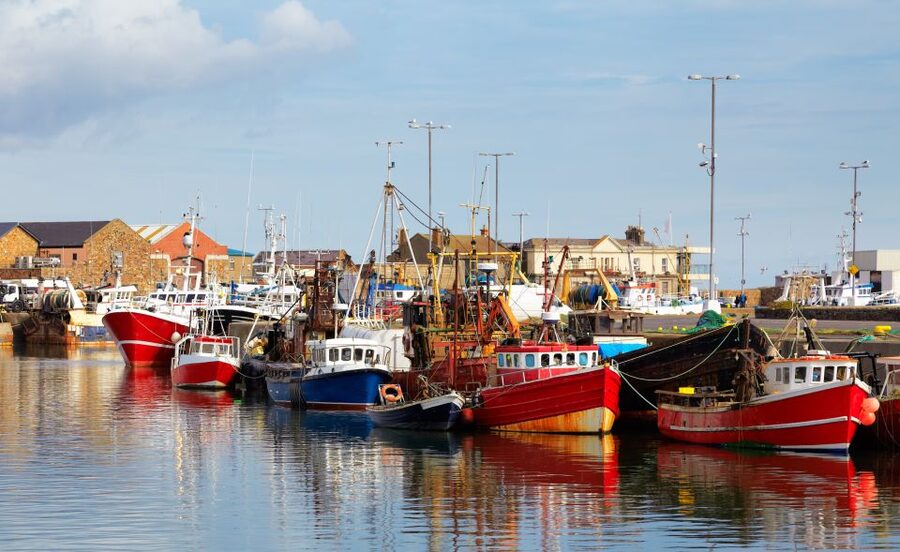 Dublin: Full-Day Howth and Malahide Castle Tour - The Return Route: Bull Island and Fairview Stretches