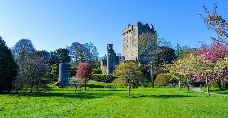 Dublin: Full-Day Tour to Cork, Cobh and Blarney Castle - Blarney Castle and the Blarney Stone, Plan for Lines and Heights