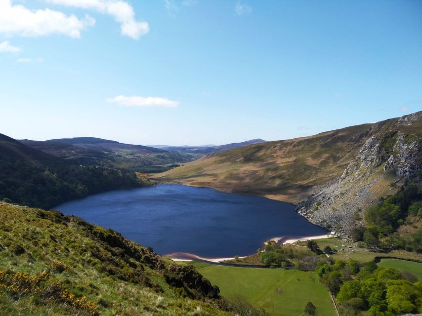 Dublin: Full-Day Wicklow Mountains Tour w/ Glendalough Visit - The Wicklow Mountains day trip that actually fits in a schedule