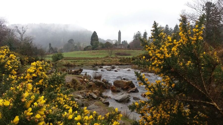 Dublin: Full-Day Wicklow Mountains Tour w/ Glendalough Visit - Glendalough National Park: St. Kevin, the lakes paths, and Celtic cross legends
