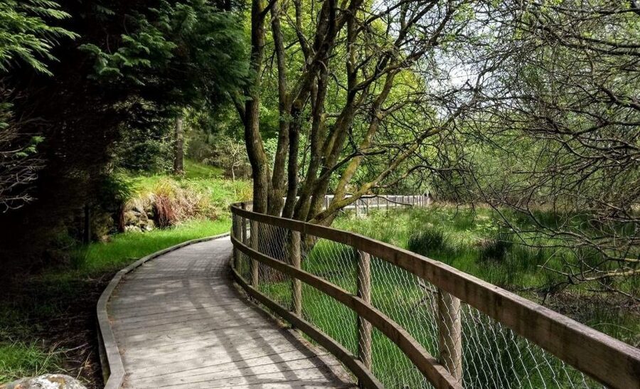 Dublin: Full-Day Wicklow Mountains Tour w/ Glendalough Visit - Food and refreshment: plan for a pub stop after the walking