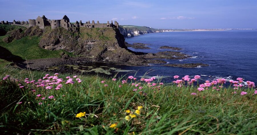 Dublin: Giant's Causeway & Belfast (Titanic or Black Taxi) - Price and Value: Is $100 Worth It?